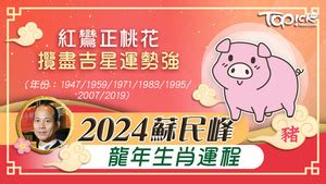 流年財位在廚房|2024年龍年布局｜蘇民峰教家居風水布局 趨旺財運桃 